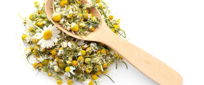 Chamomile