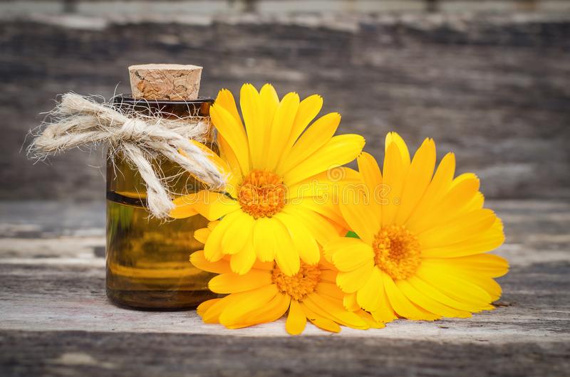 Calendula Oil