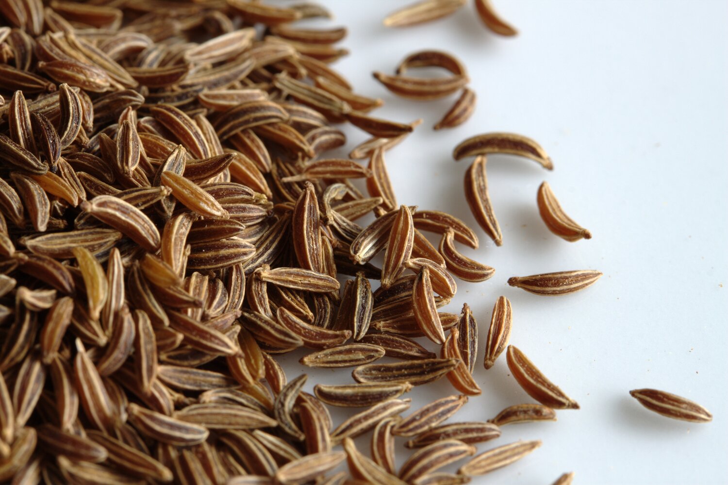 Caraway