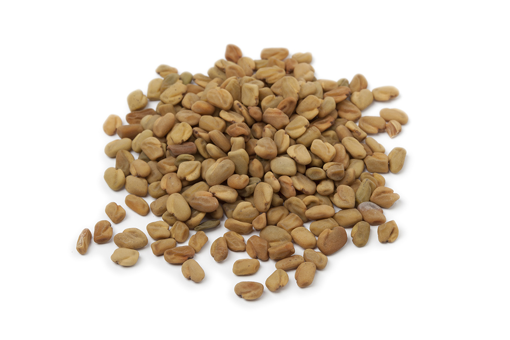 Fenugreek