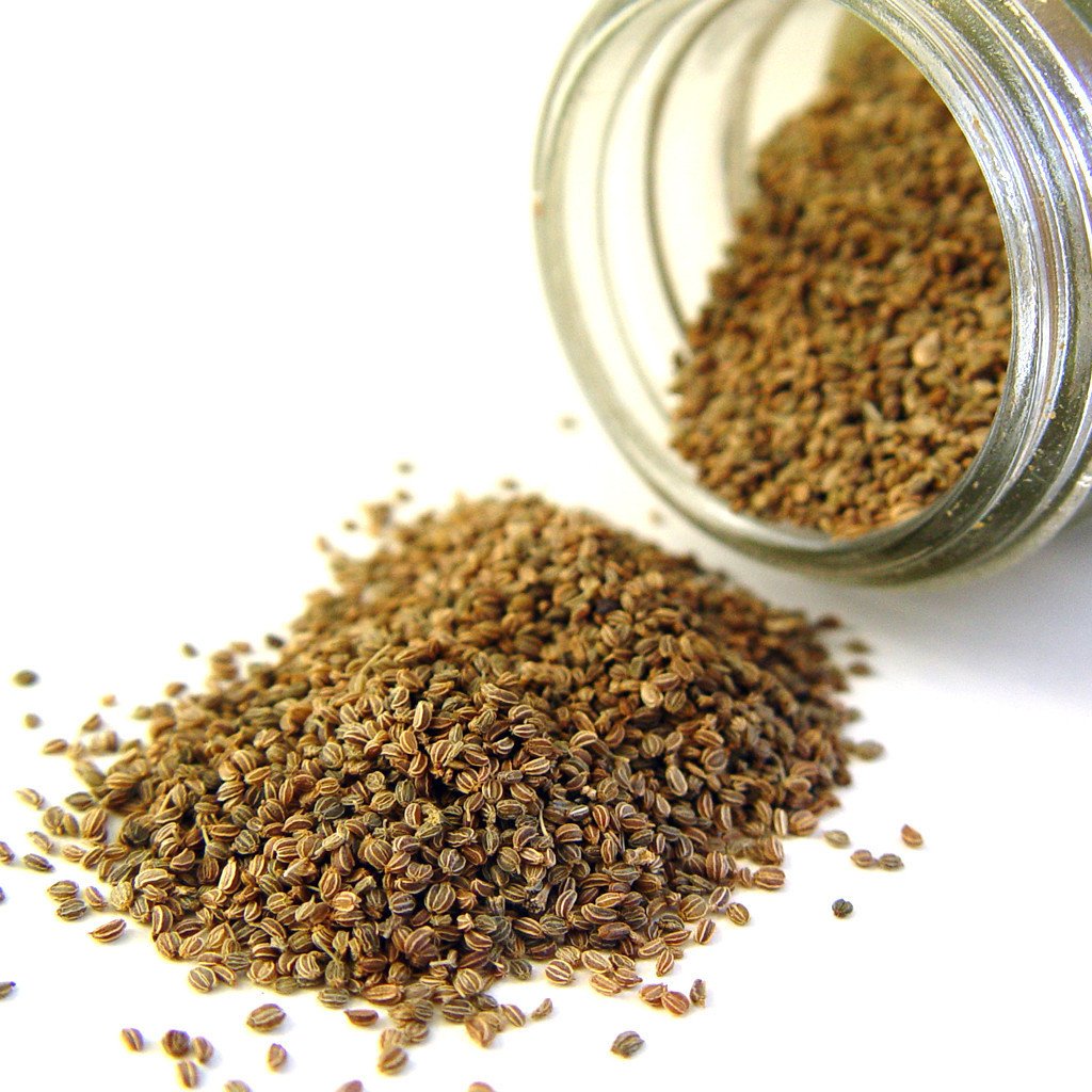 Celery Seed Oil