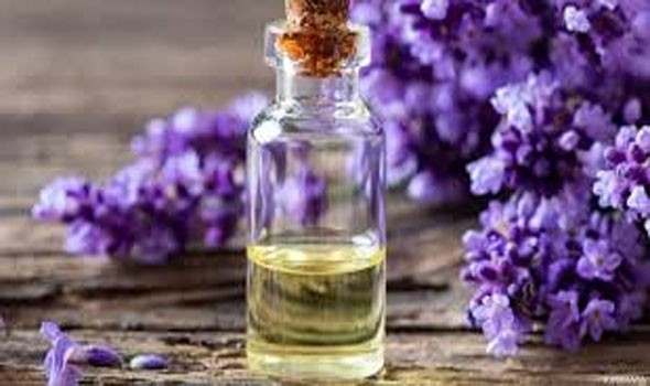 Violet Leaf Oil