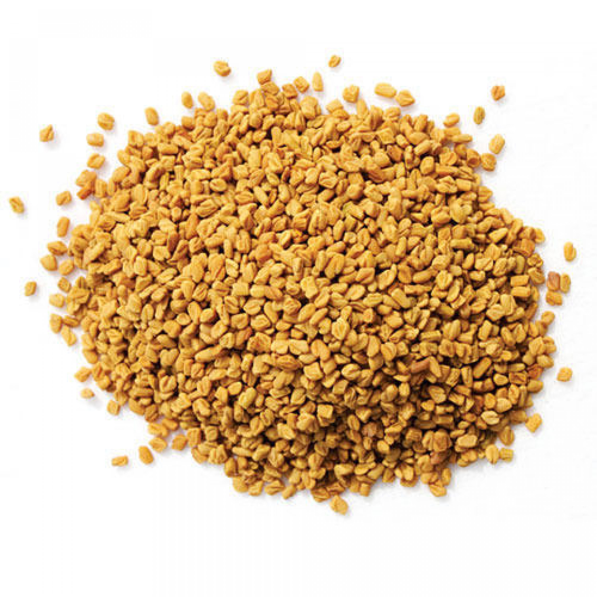 Fenugreek