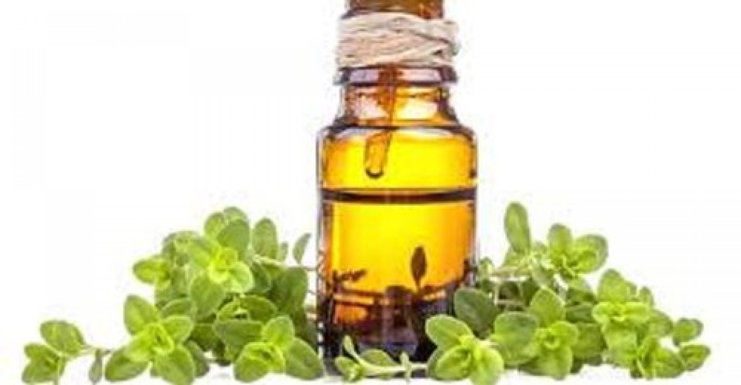 Marjoram Oil