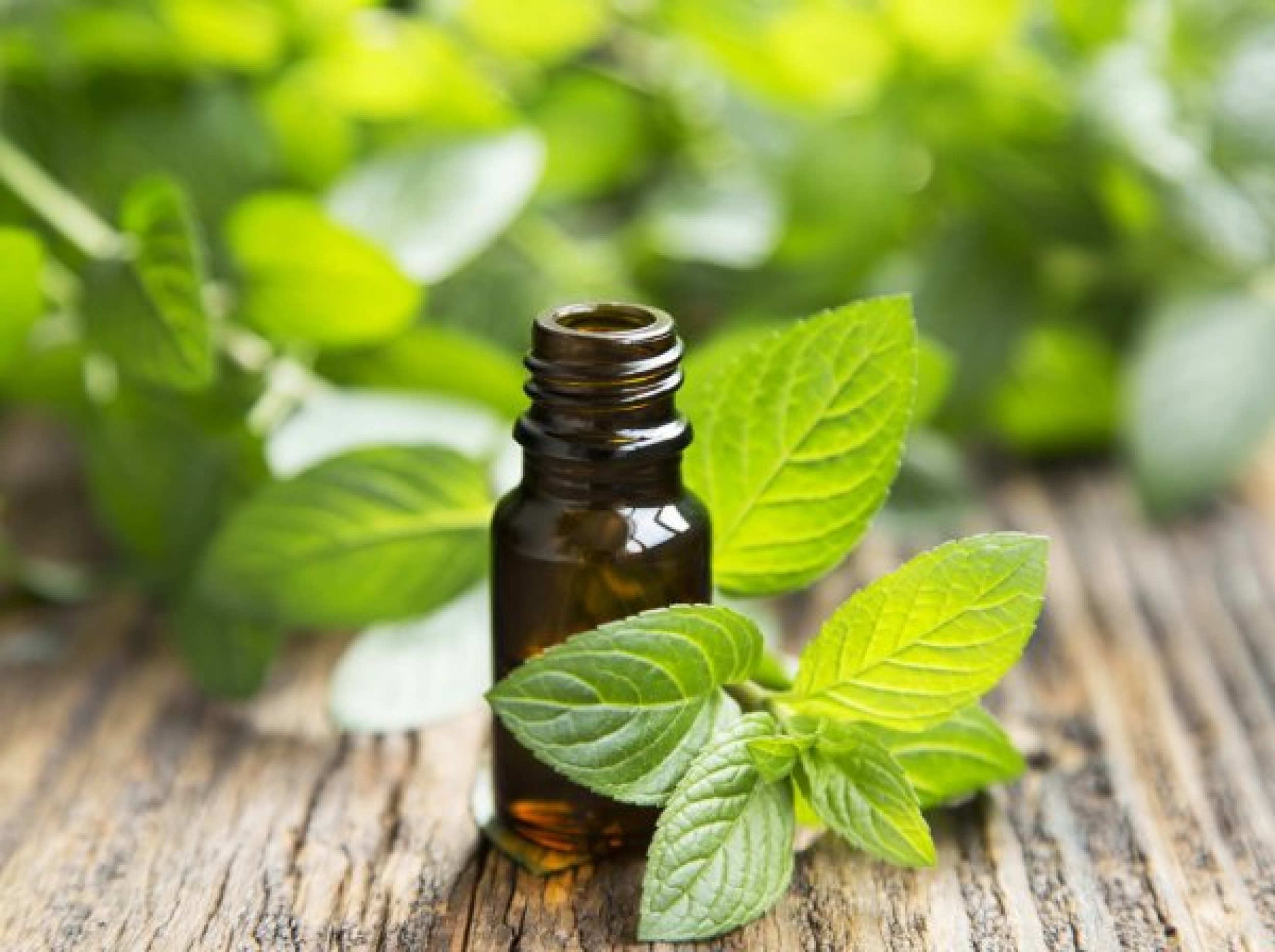 peppermint oil