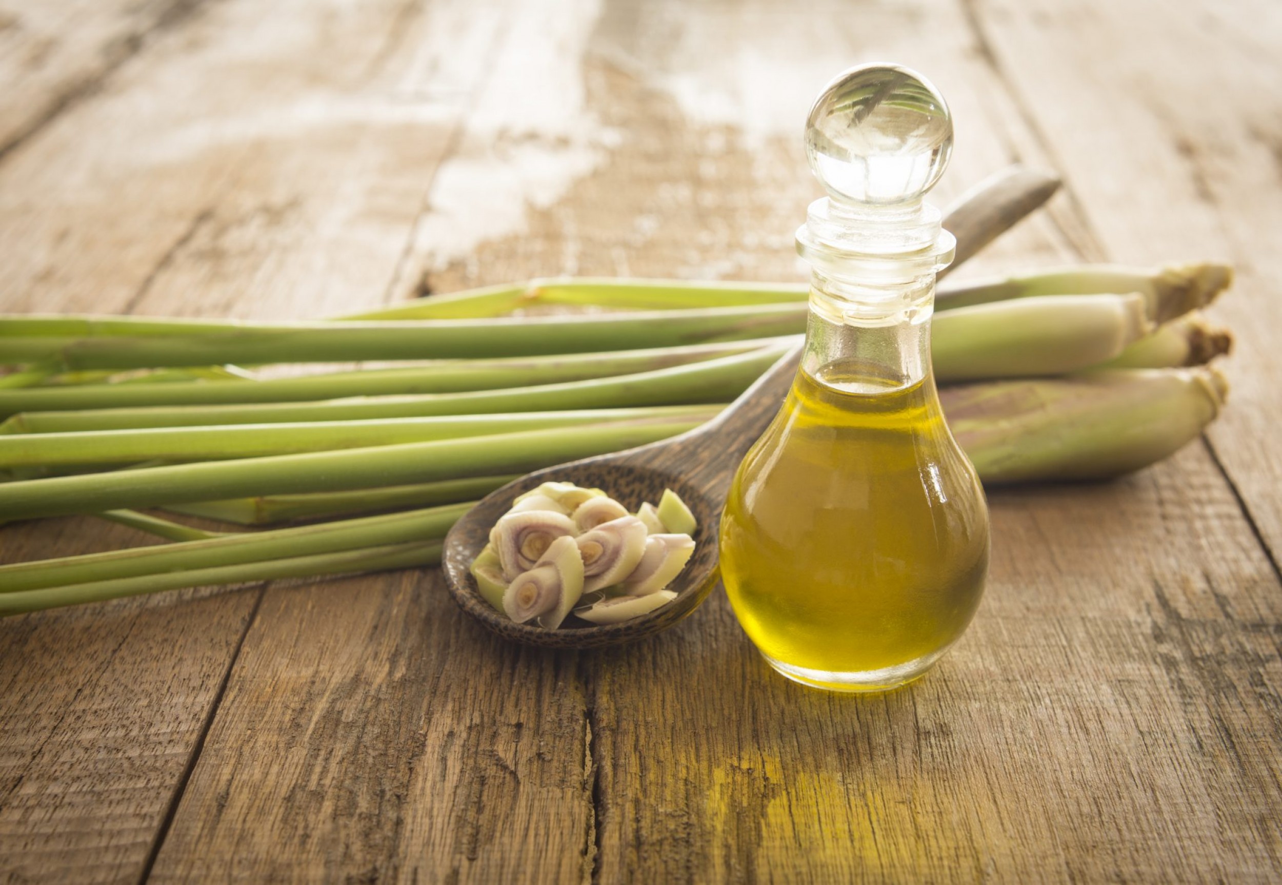 LemonGrass Oil