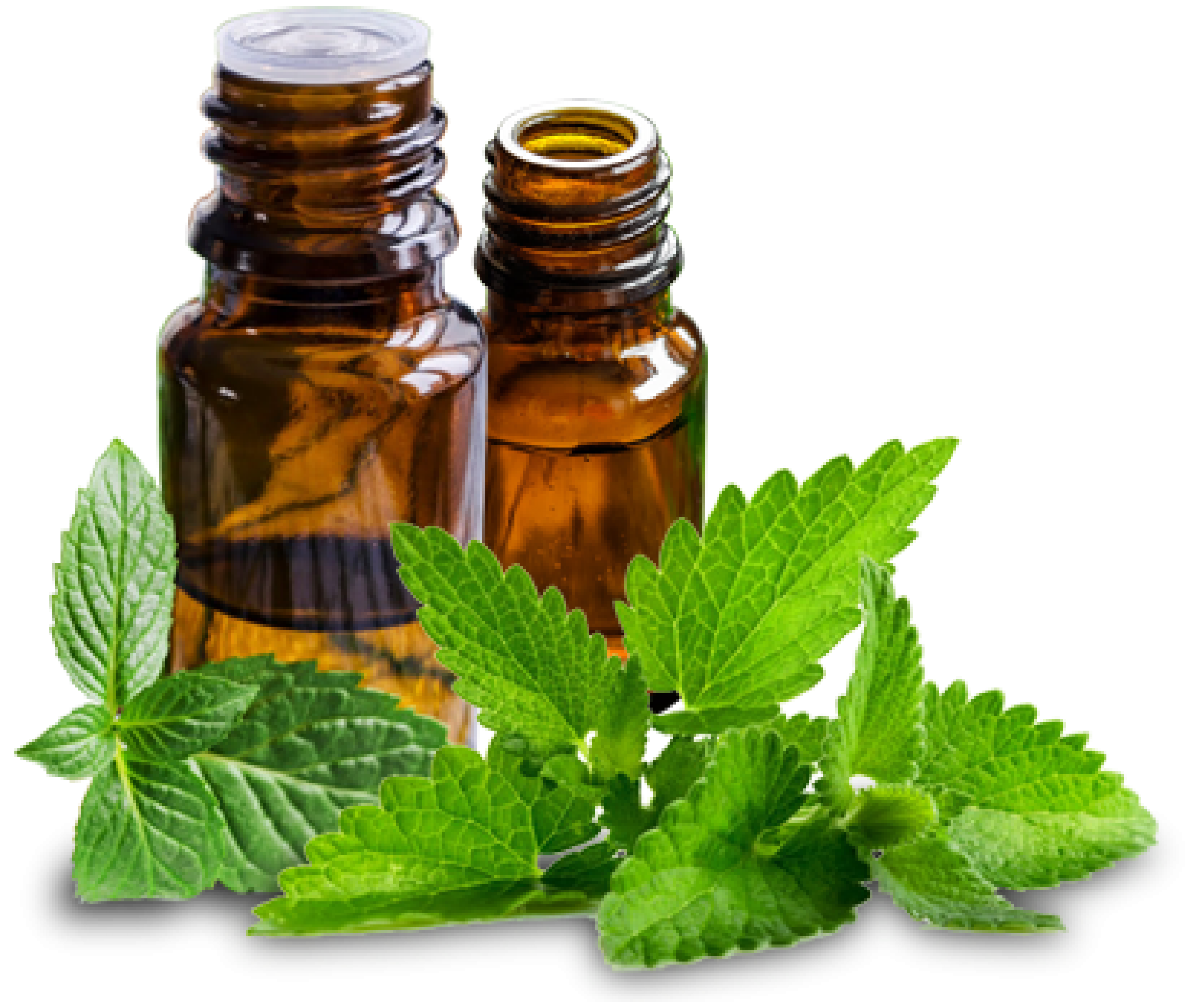 spearmint oil