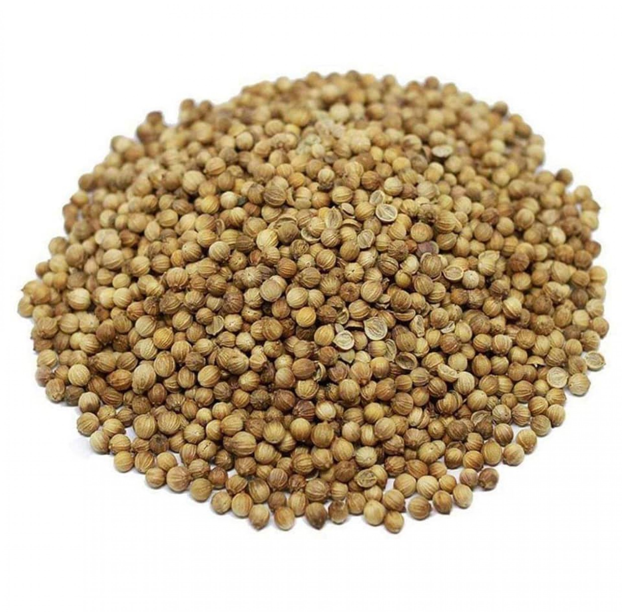 Coriander